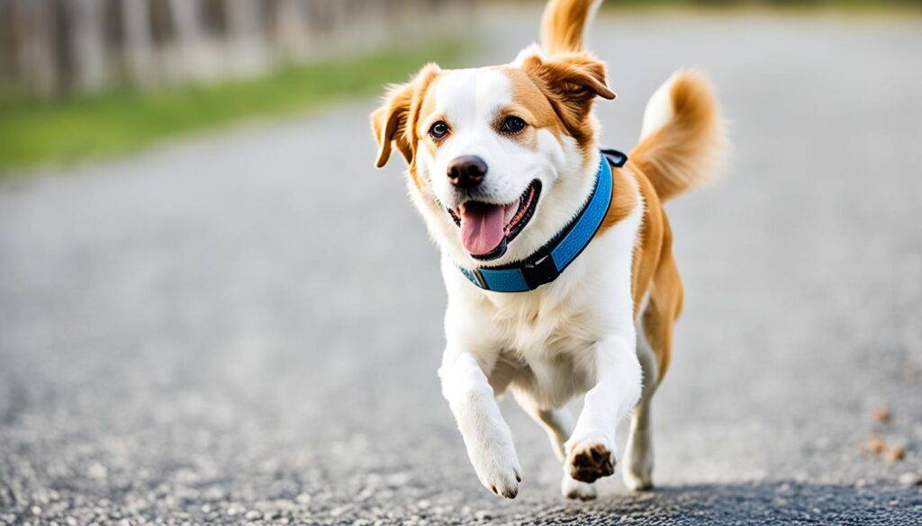 Učinkovitost kolagenskih dodatkov Učinkovitost kolagenskih dodatkov