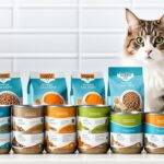 Kako izbrati pravo prehrano za mačko glede na starost in zdravstvene potrebe